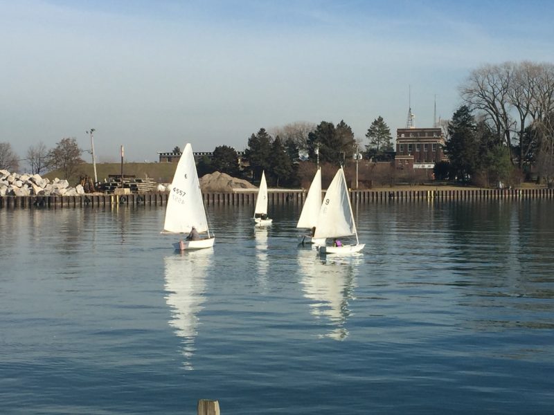 sailing dinghies in the harbor